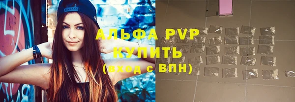 индика Коряжма