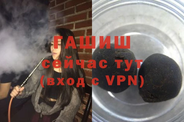 гашик Костерёво