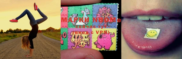 индика Краснотурьинск