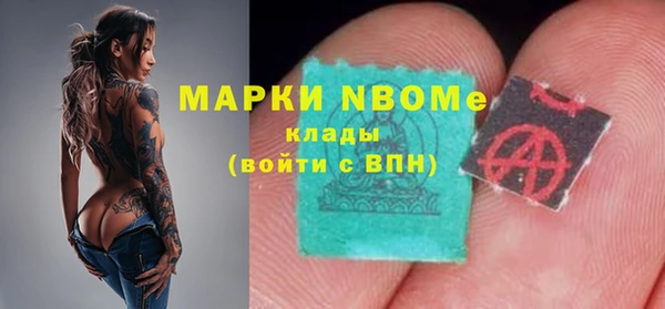 индика Коряжма