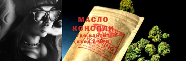 индика Коряжма