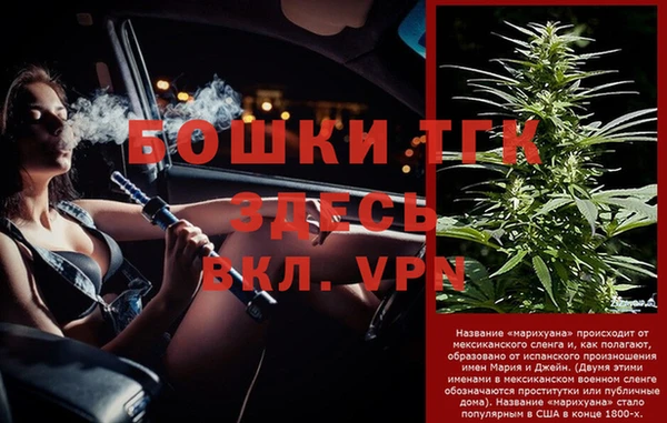 гашик Костерёво