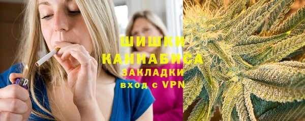 гашик Костерёво