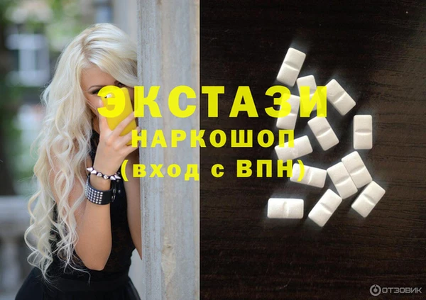 индика Коряжма