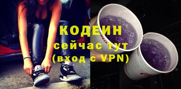 гашик Костерёво
