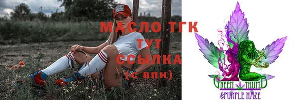 индика Краснотурьинск